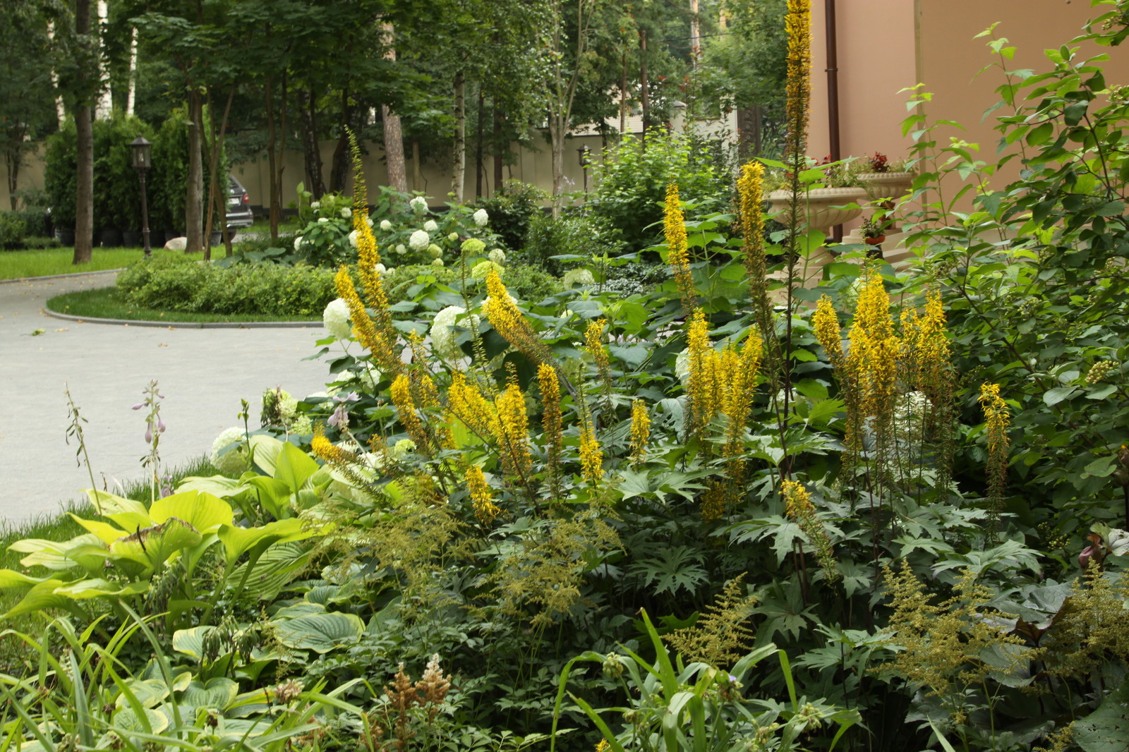 Теневые сады