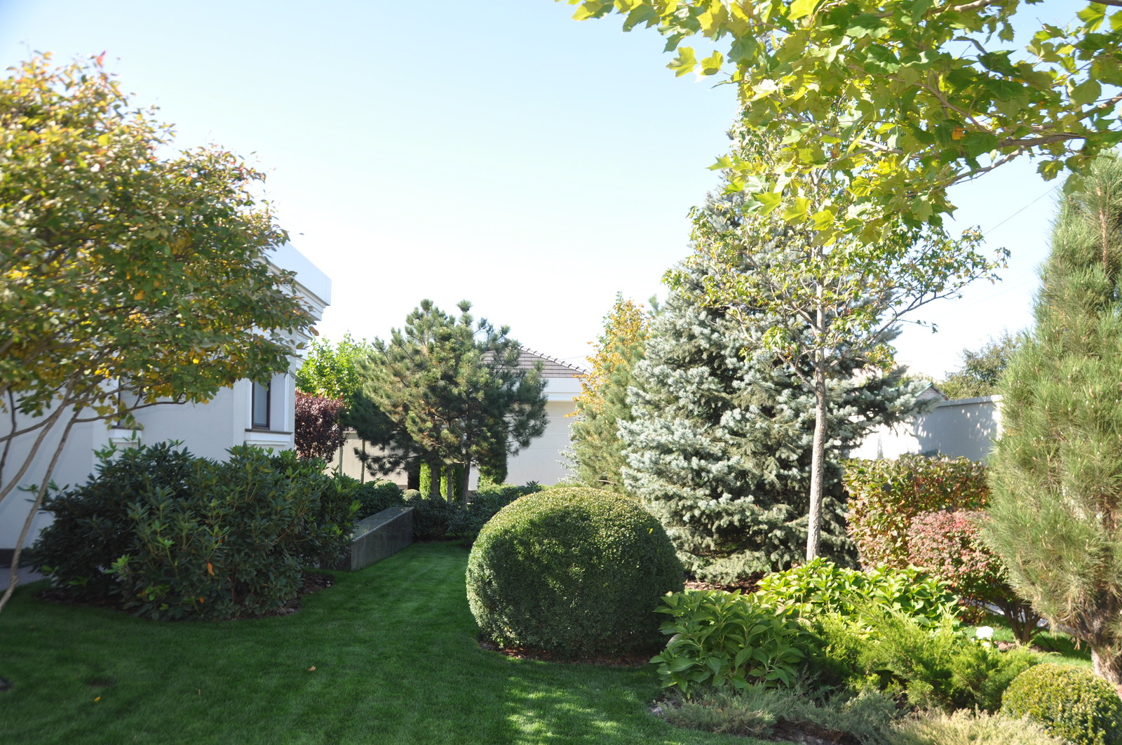 Private modern garden / Частный современный сад.