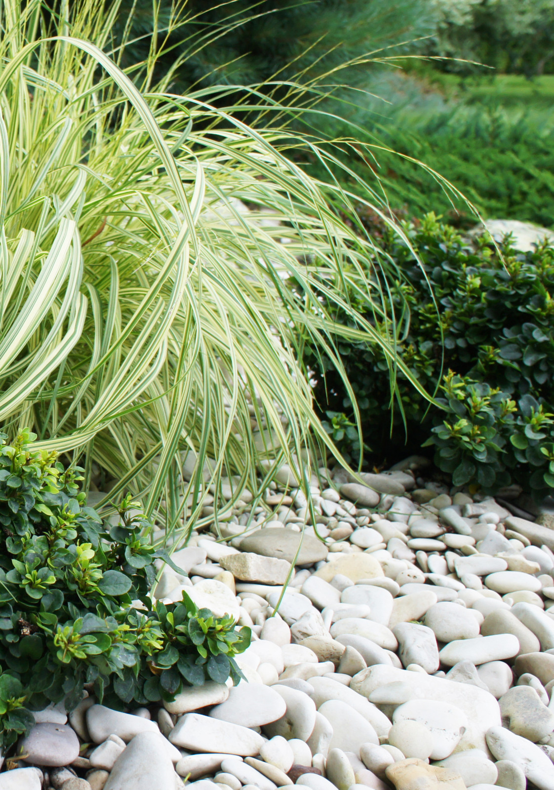 Участок 30 соток