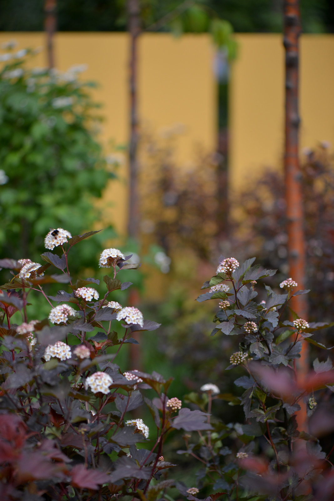 Выставочный сад "Азбука сада"