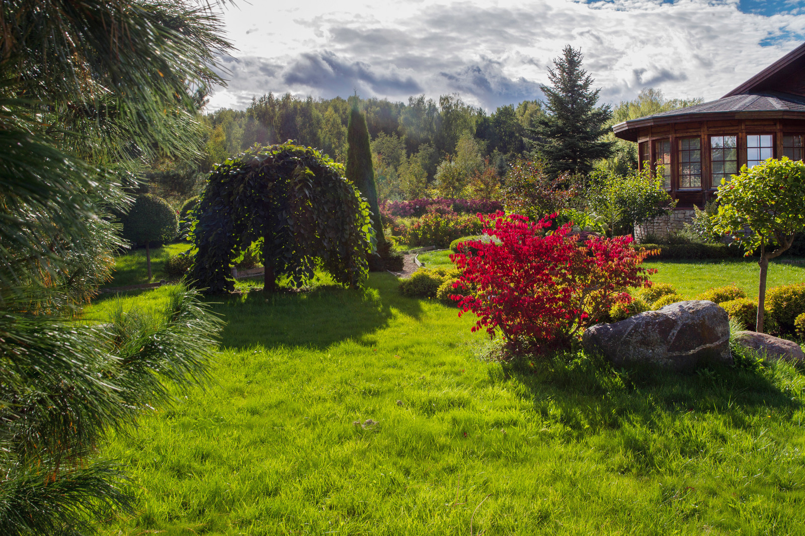 Парк в  Шаховском районе