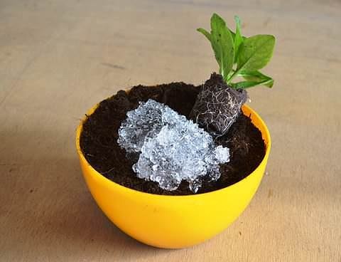 Вопрос: Можно ли вырастить полноценный сад в кадках