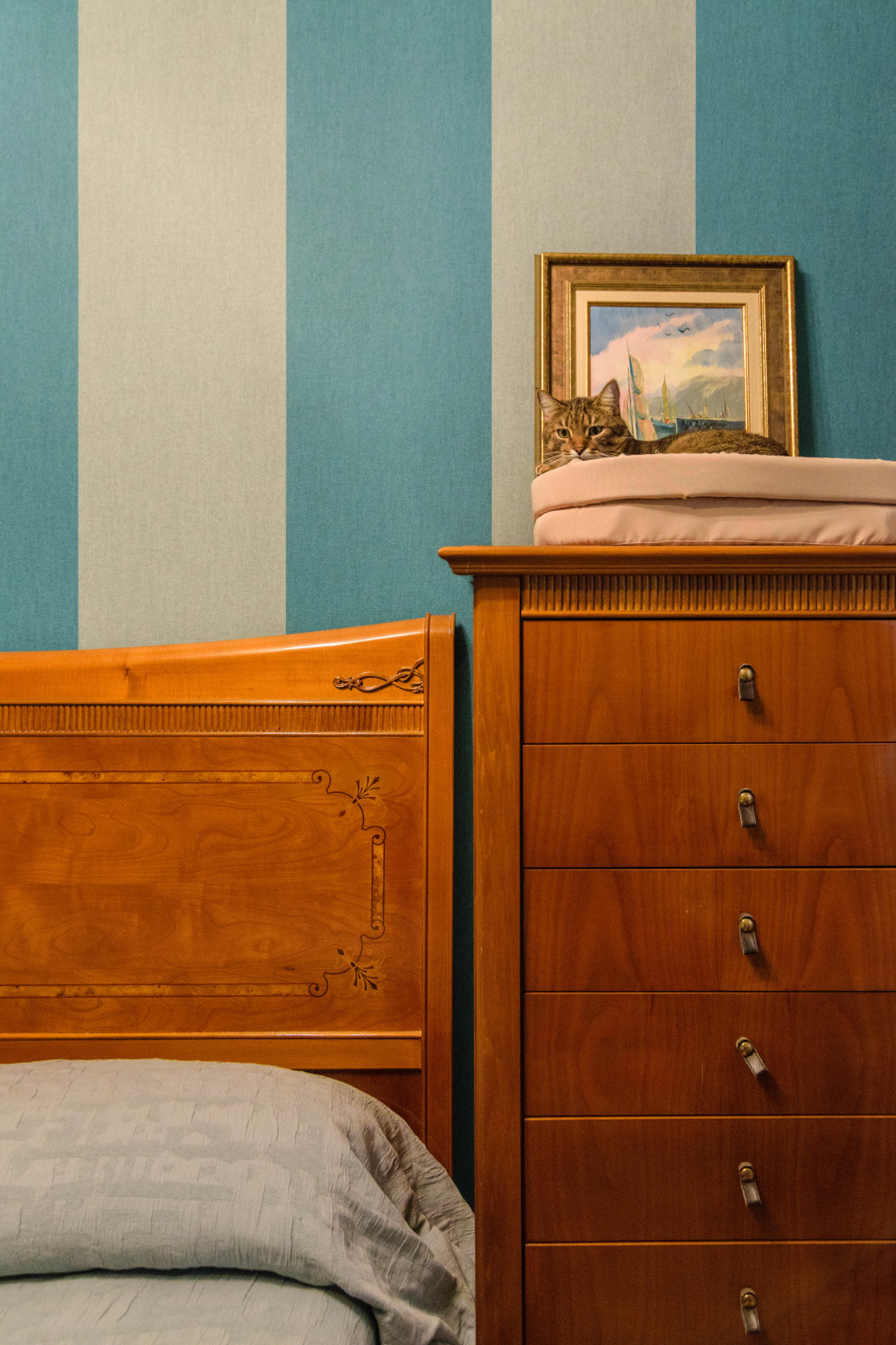 Сад-фантазия для кошки