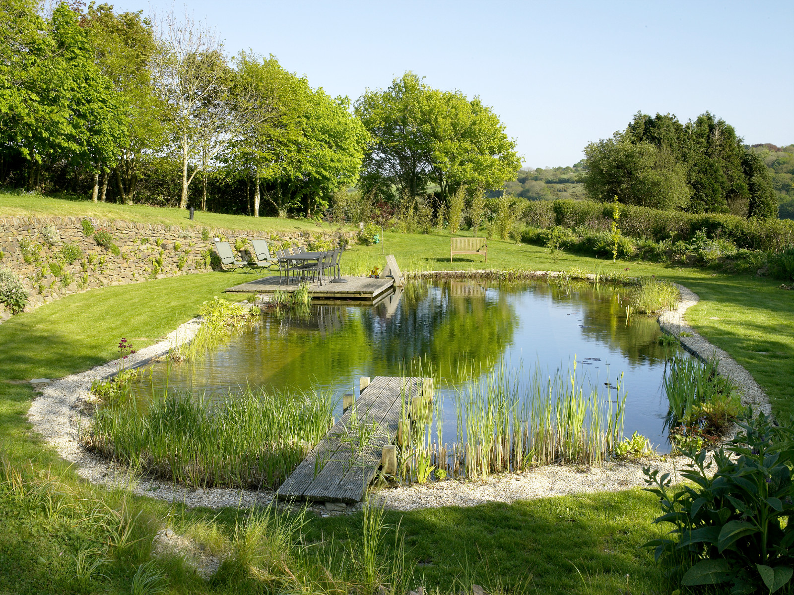 Фотоохота: 20 идей для природного бассейна [чистится растениями]