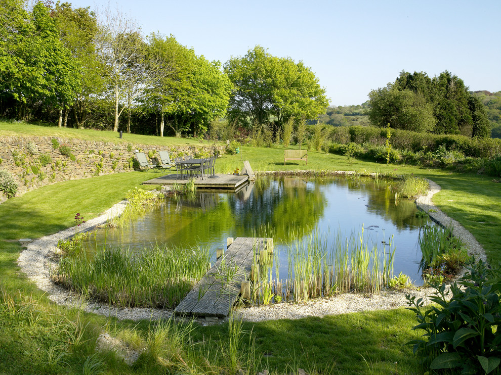 Фотоохота: 20 идей для природного бассейна [чистится растениями]