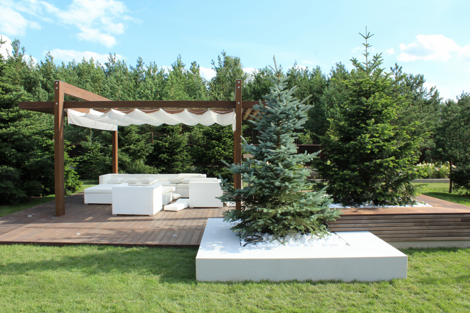 Черноголовка