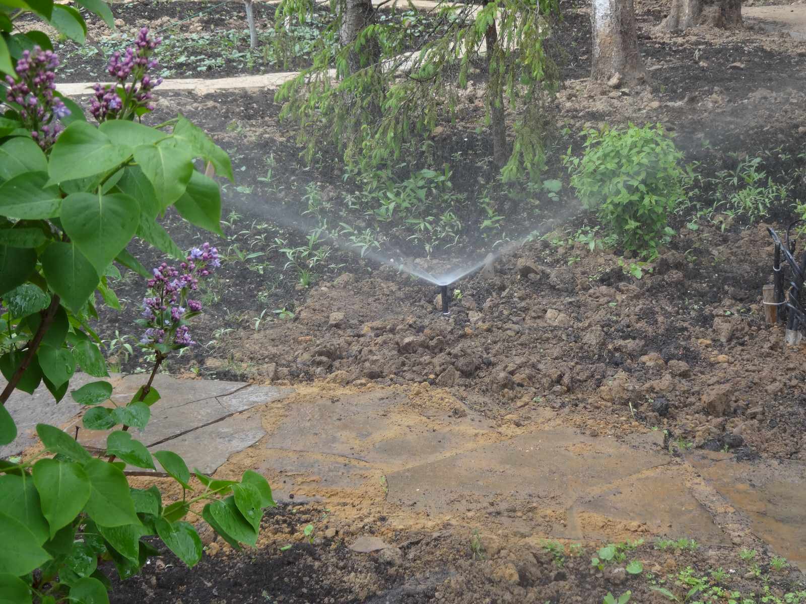 Обложка проекта: Unnamed project