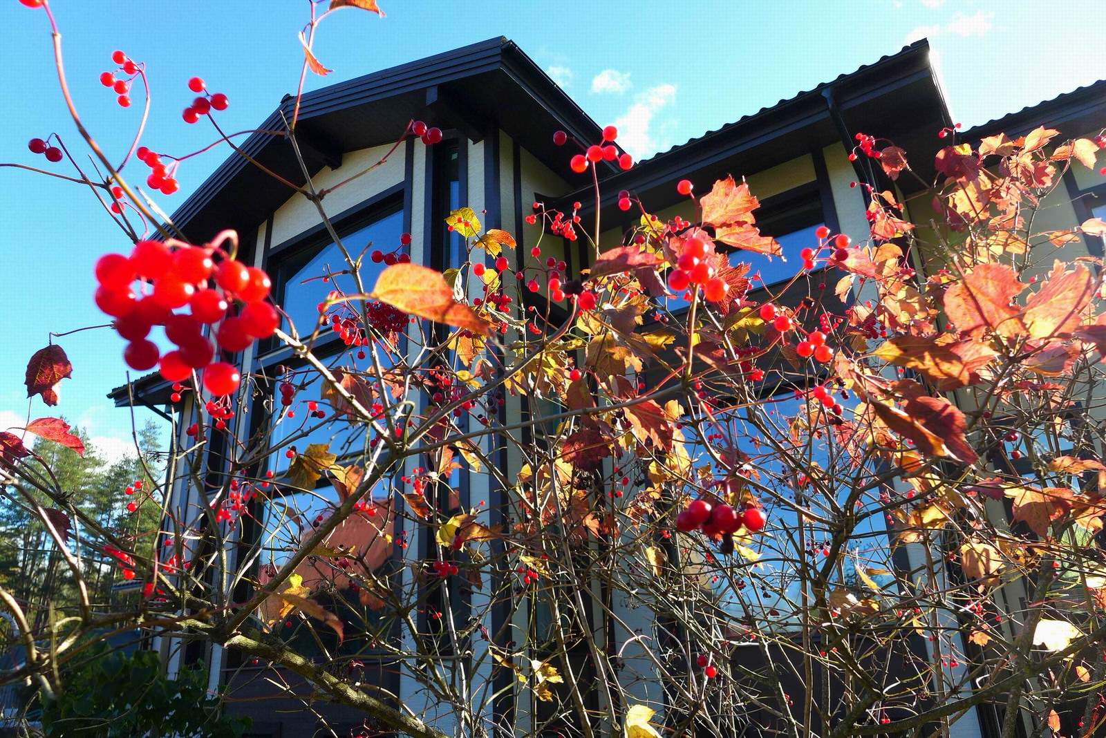 Обложка проекта: Дом для внуков 470 кв.м.