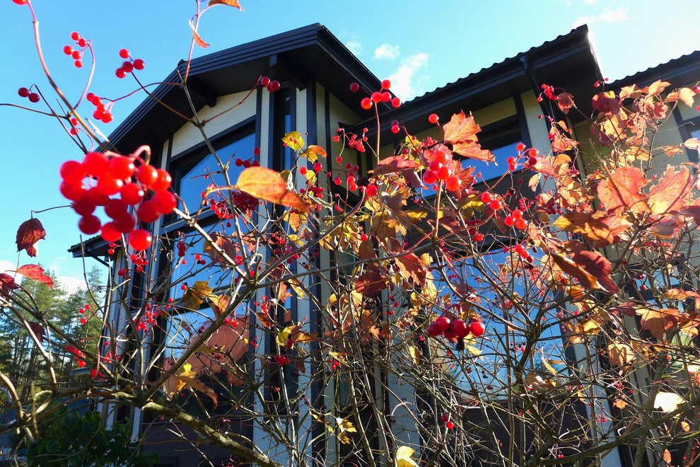 Обложка проекта: Дом для внуков 470 кв.м.