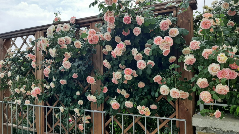 Ландшафтный дизайн