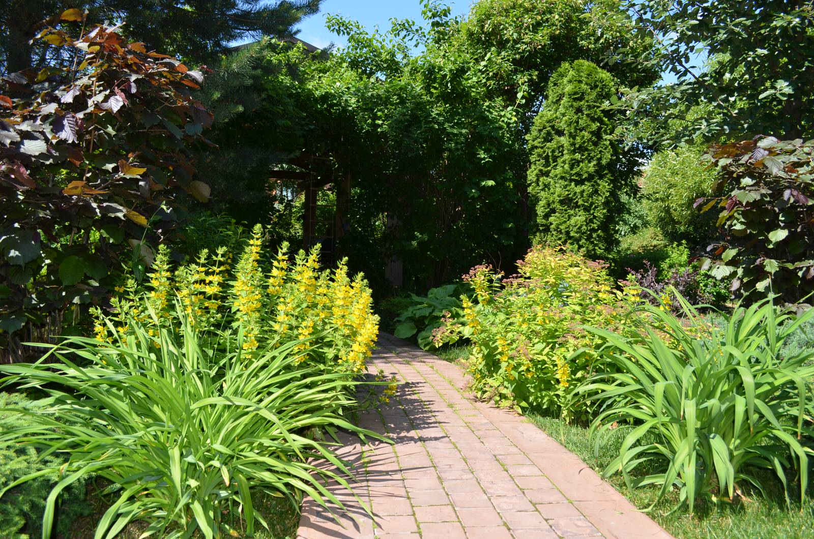 Сад "Царство растений" ландшафтный стиль.