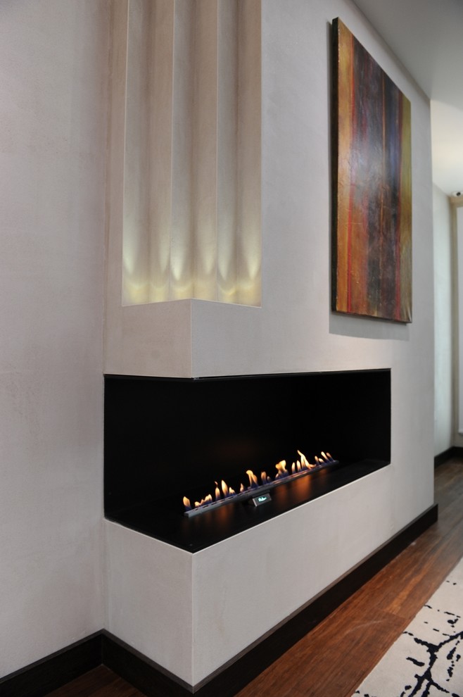 Обложка альбома: биокамин