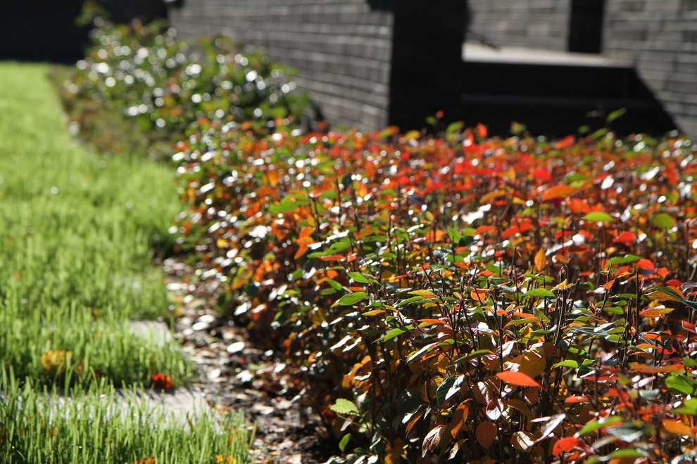 Хороший вопрос: Как получить сад, красивый до поздней осени