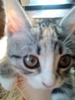 Елизавета Пичугина