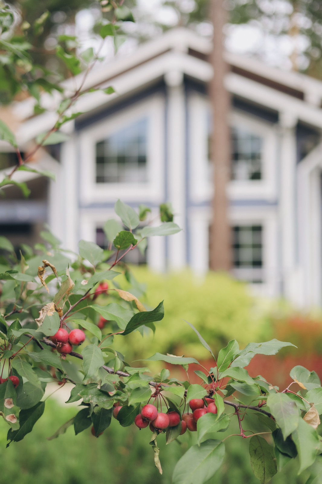 50 оттенков красного