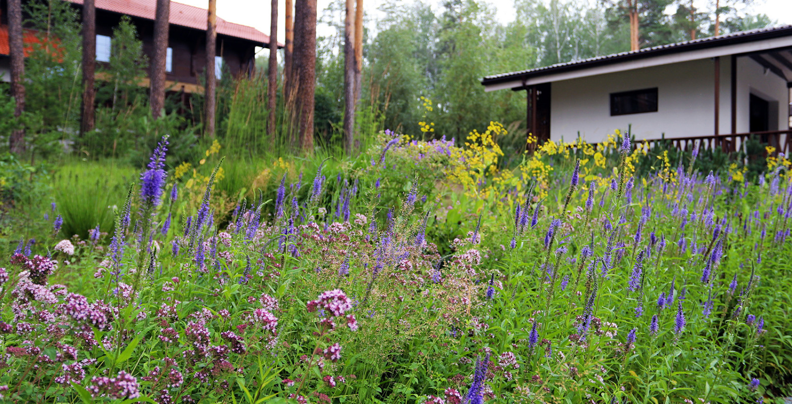 Лес и огород