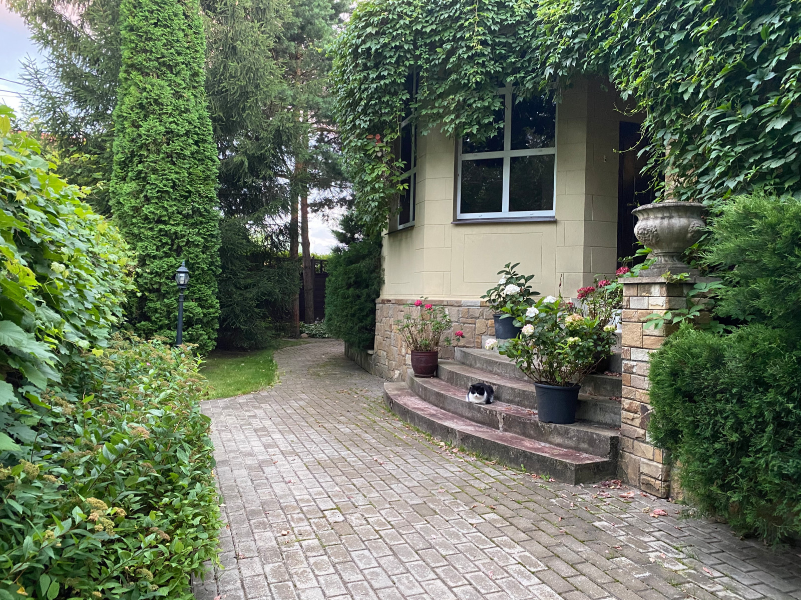 Круглое Озеро. Входная группа в обрамлении Девичьего Винограда.