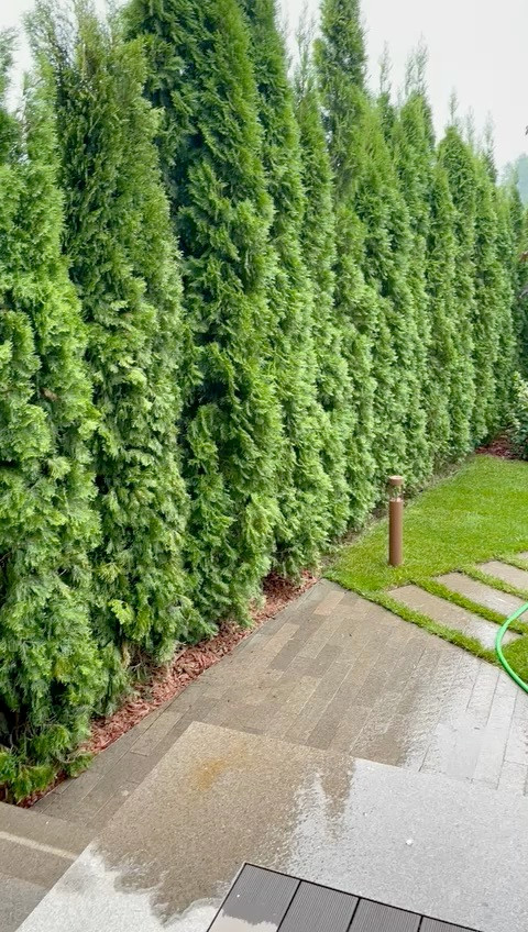 e96ae97d-e16c-417a-b2d1-8d77bb8e7558.mp4