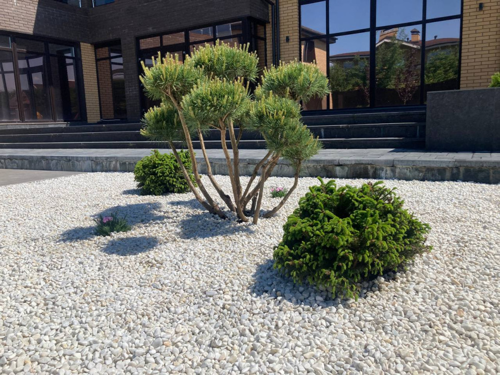 Минимализм