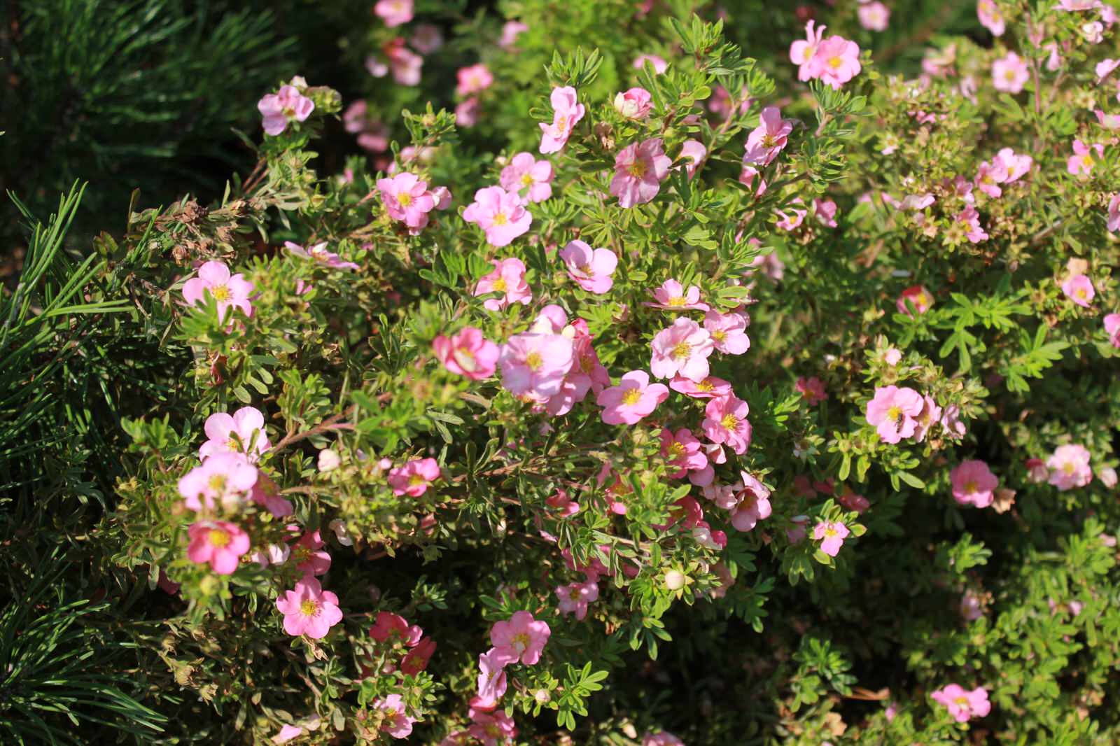 В гостях у Сказки