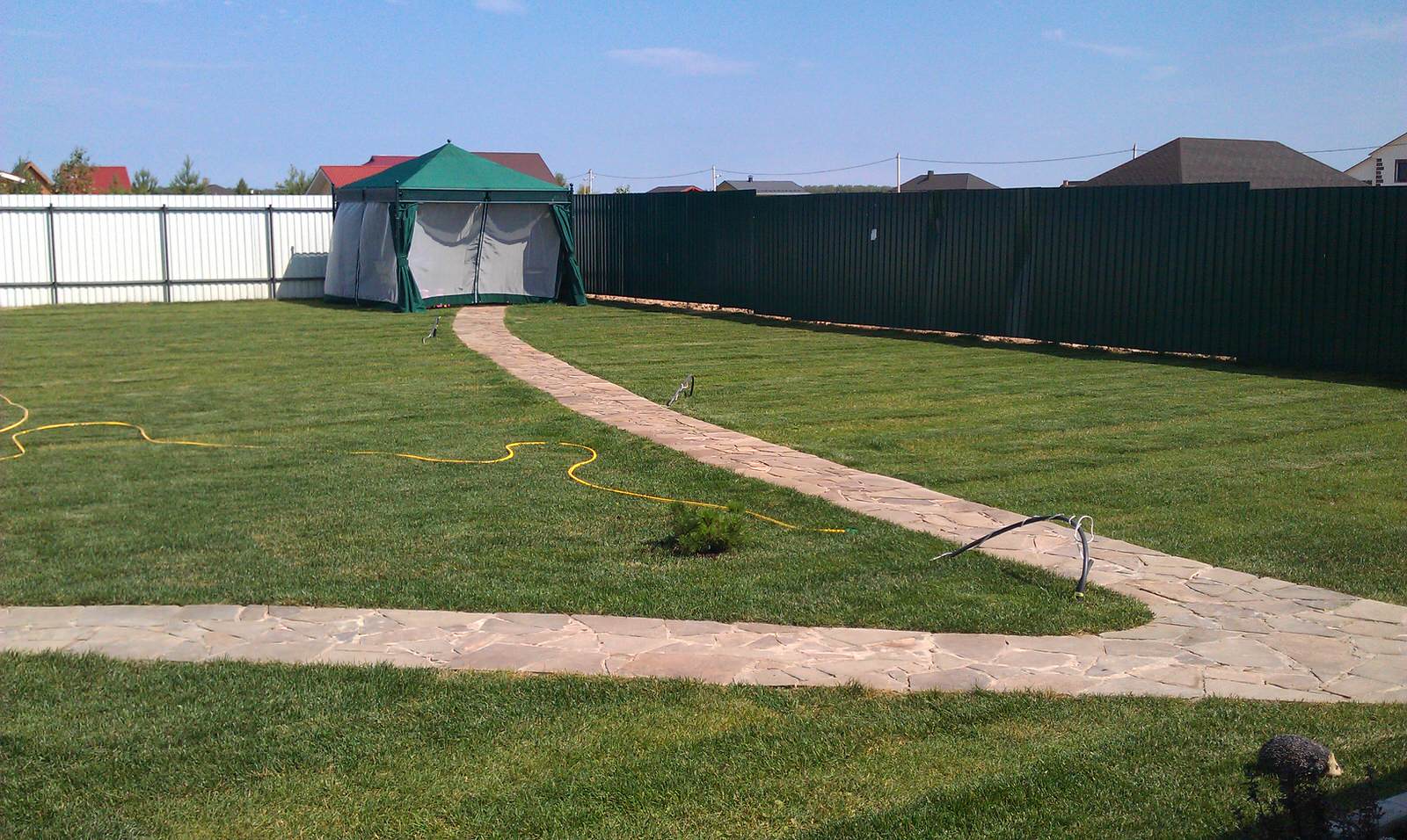 Озеленение дачного участка