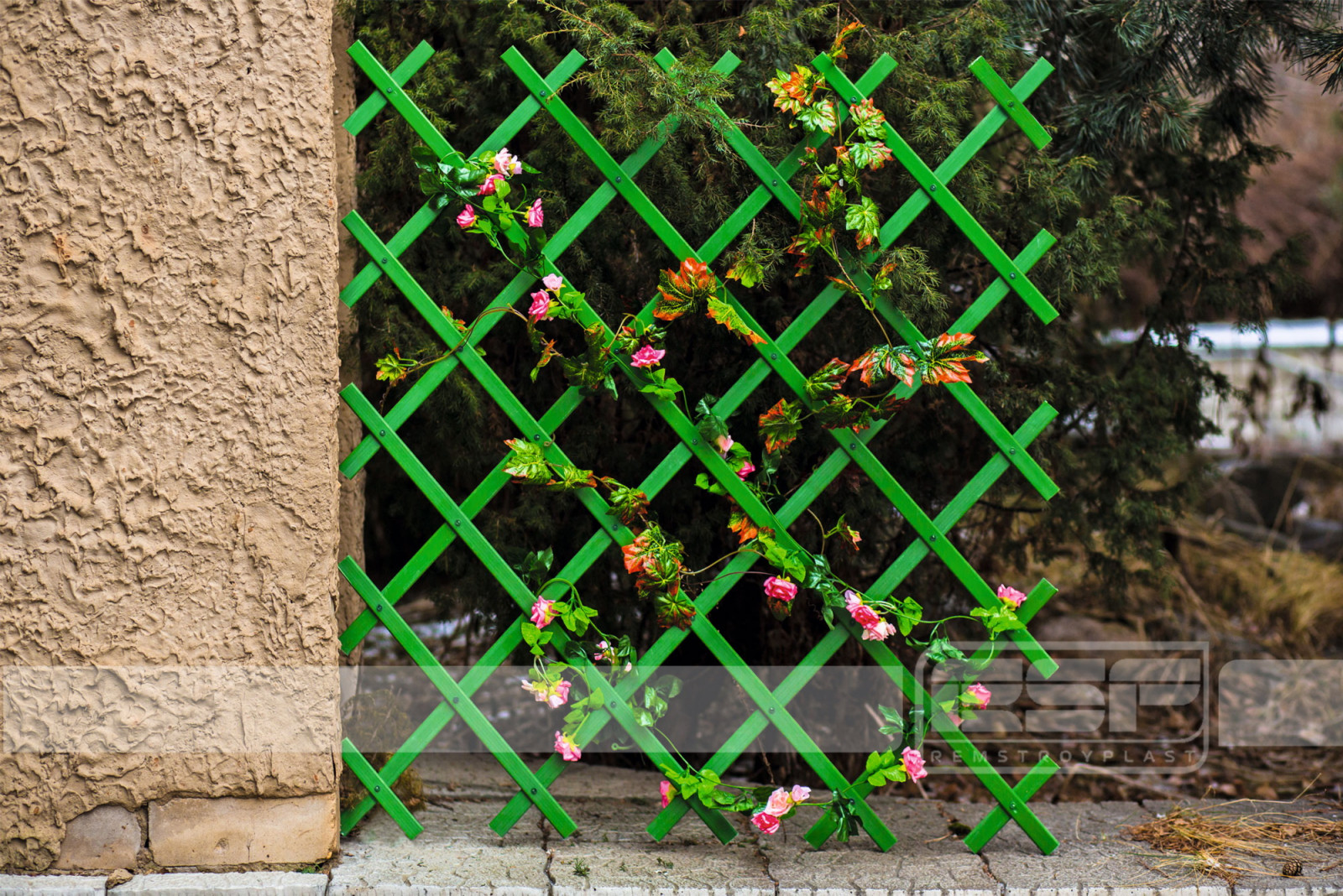 Обложка проекта: Шпалера