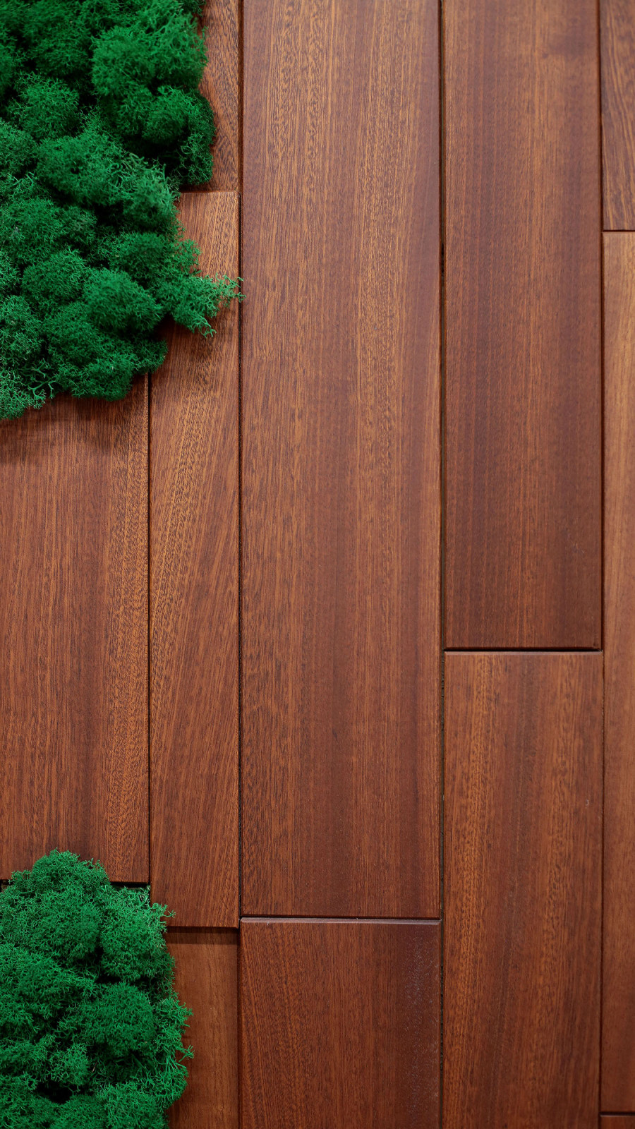 Стеновые панели Сапелле со мхом