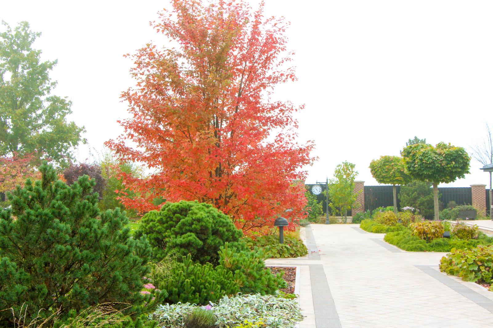 Горки-10, 2017-2020 г.г.