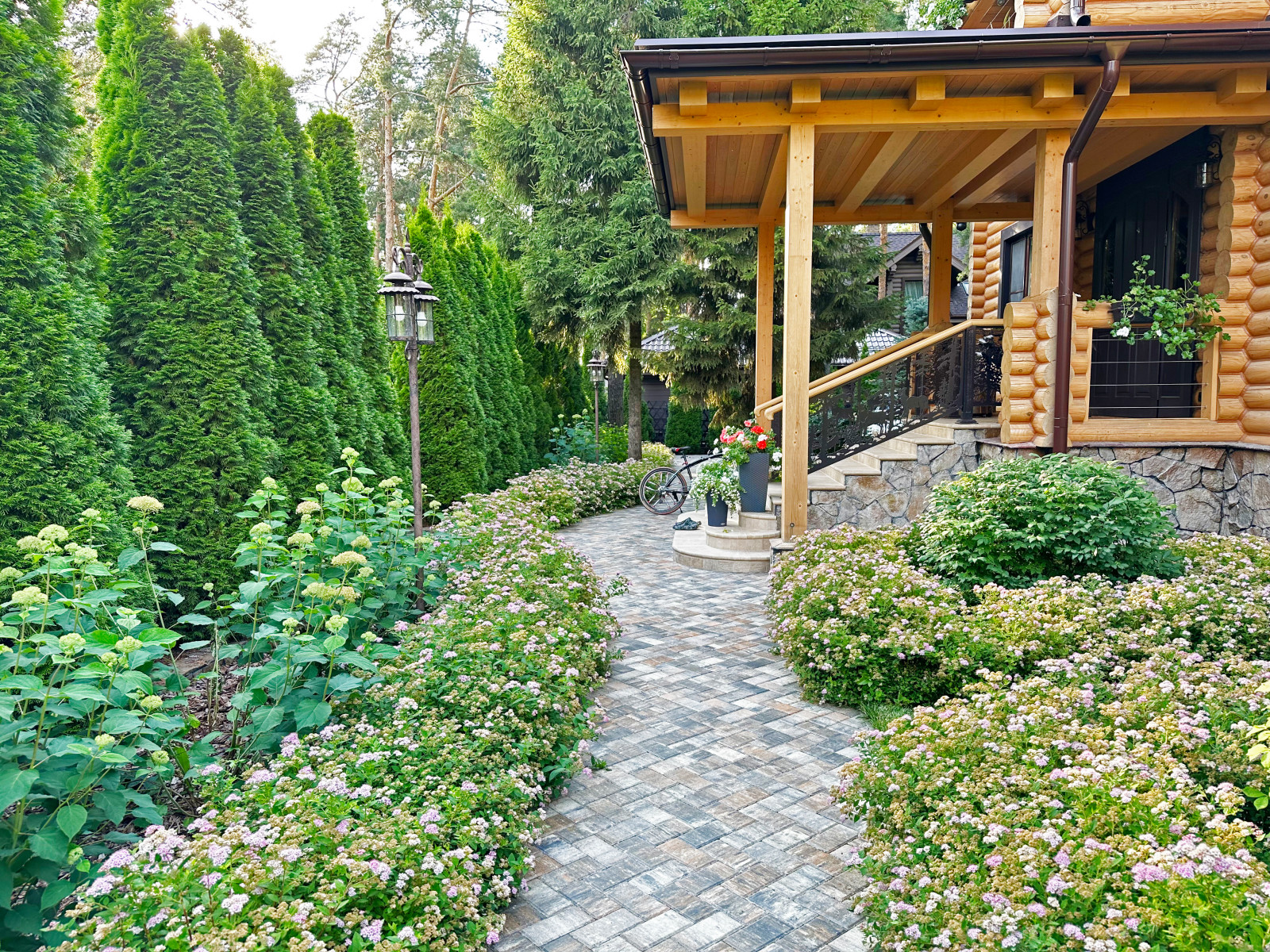 Заповедный Бор 2