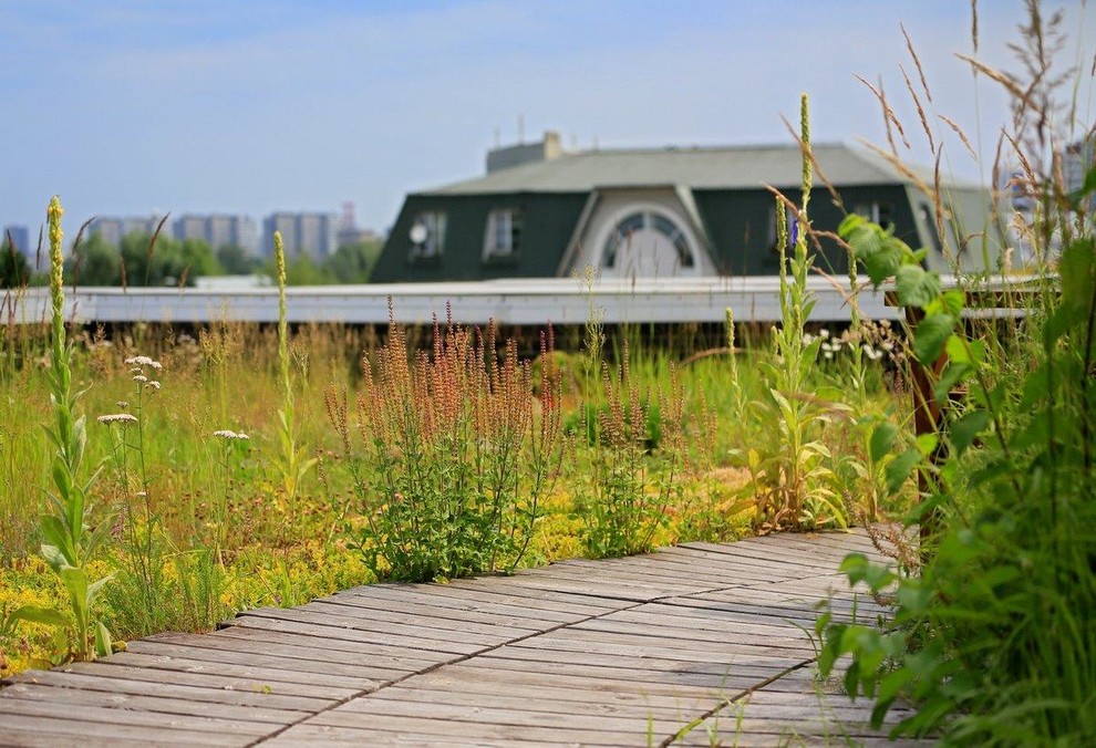 Сад на крыше