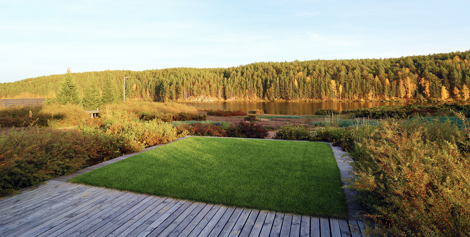 Полынный берег. Новые снимки