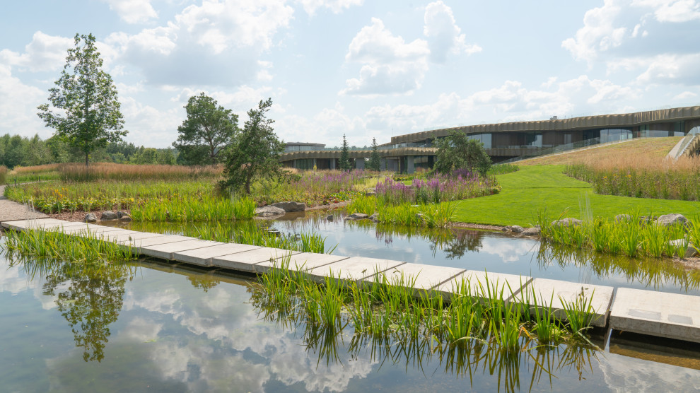 Природный сад. Жуковка XXI век. 2017-2018 гг.