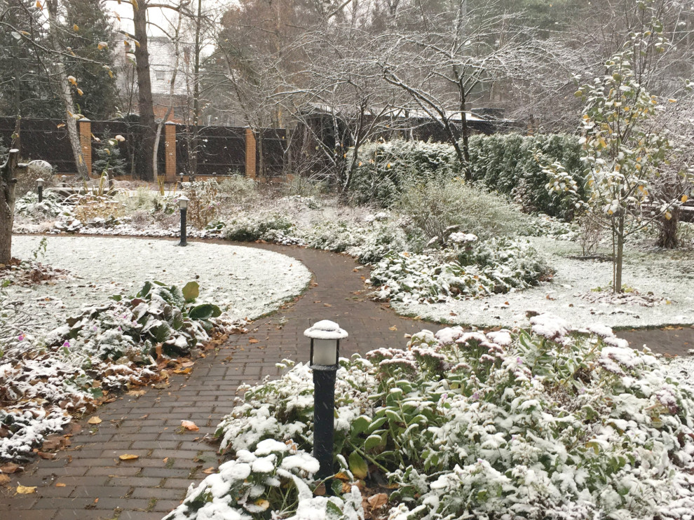 Белкин Сад. Предзимье 2019