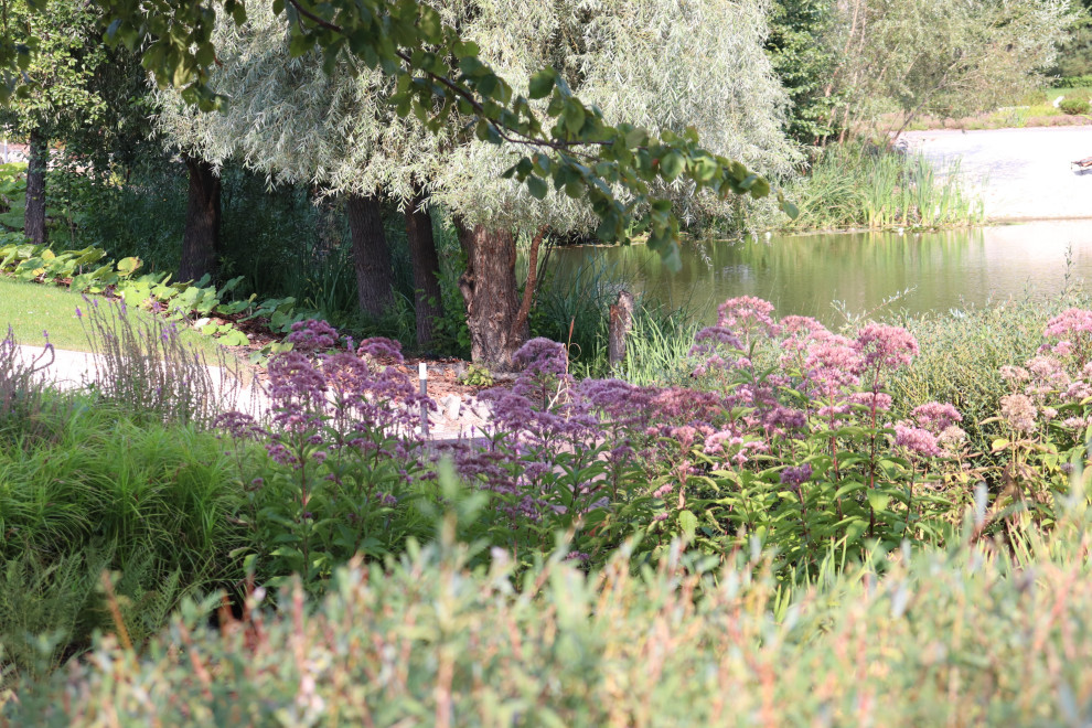 WB Берег пруда (август)