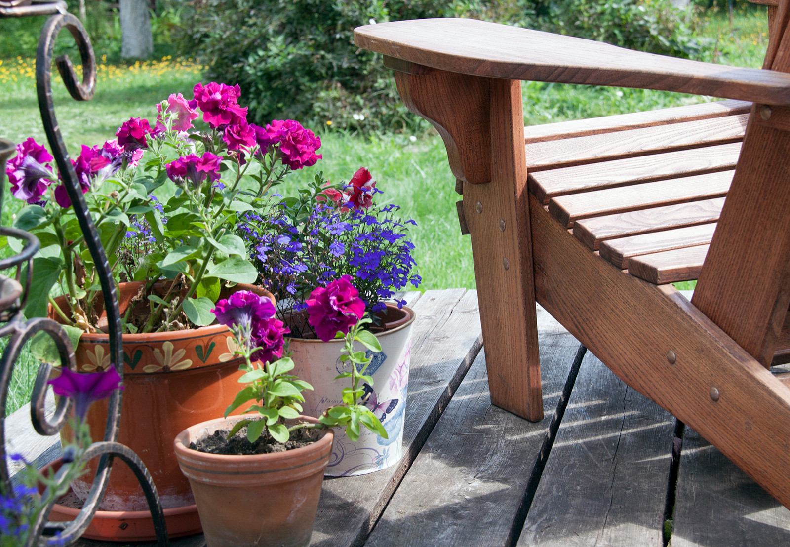 Обложка проекта: Дача. Подмосковье. Лето -осень 2018