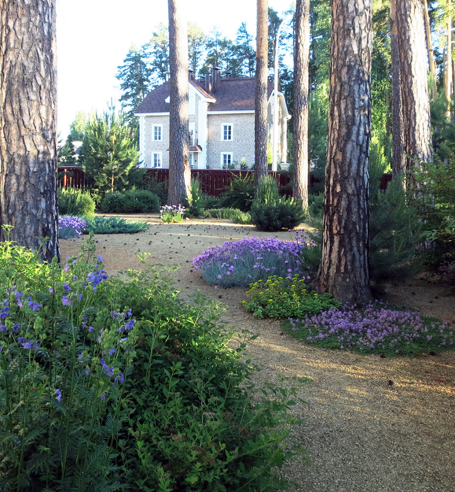 Маленький сад между большими соснами.