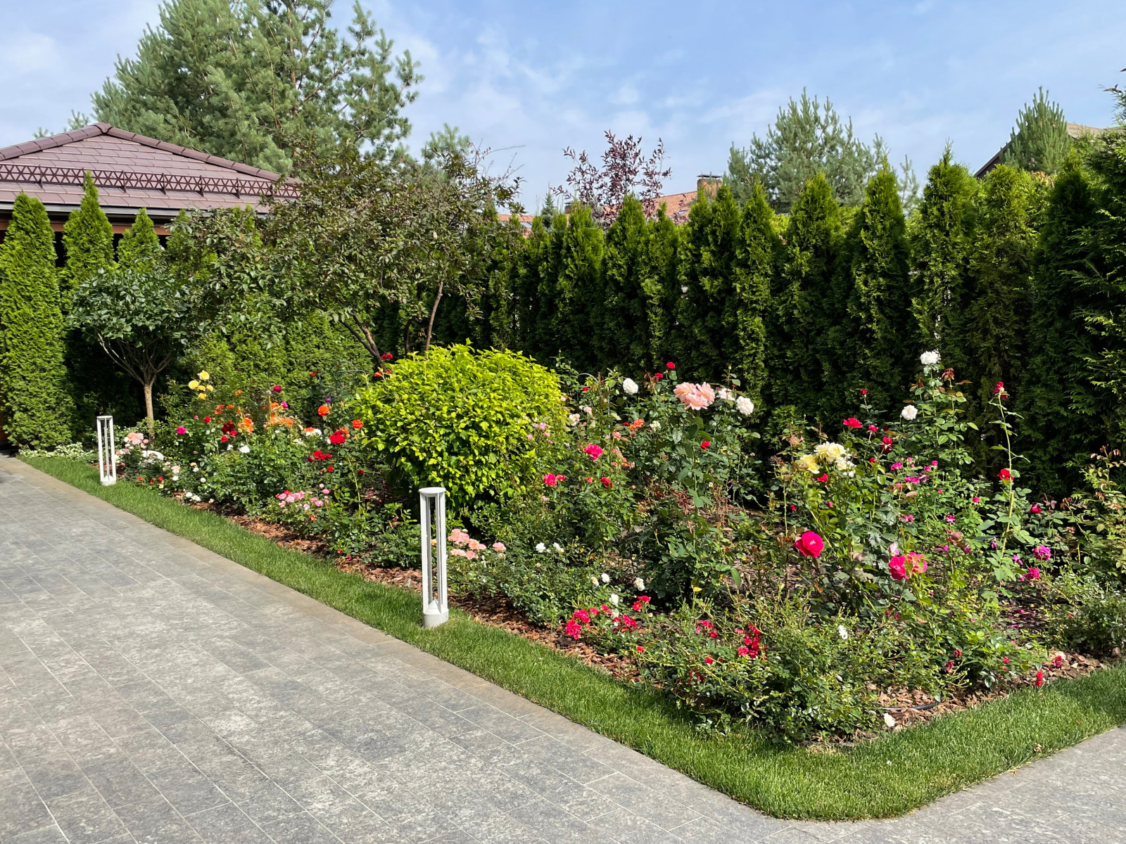 КП Пестово "Evergreen'