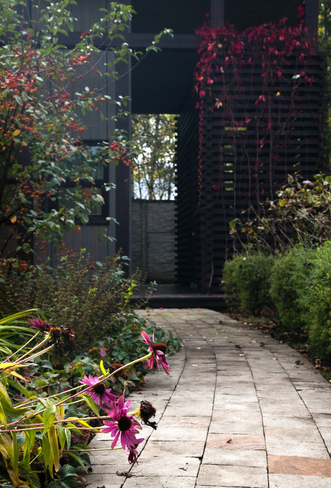 Николо-Урюпино