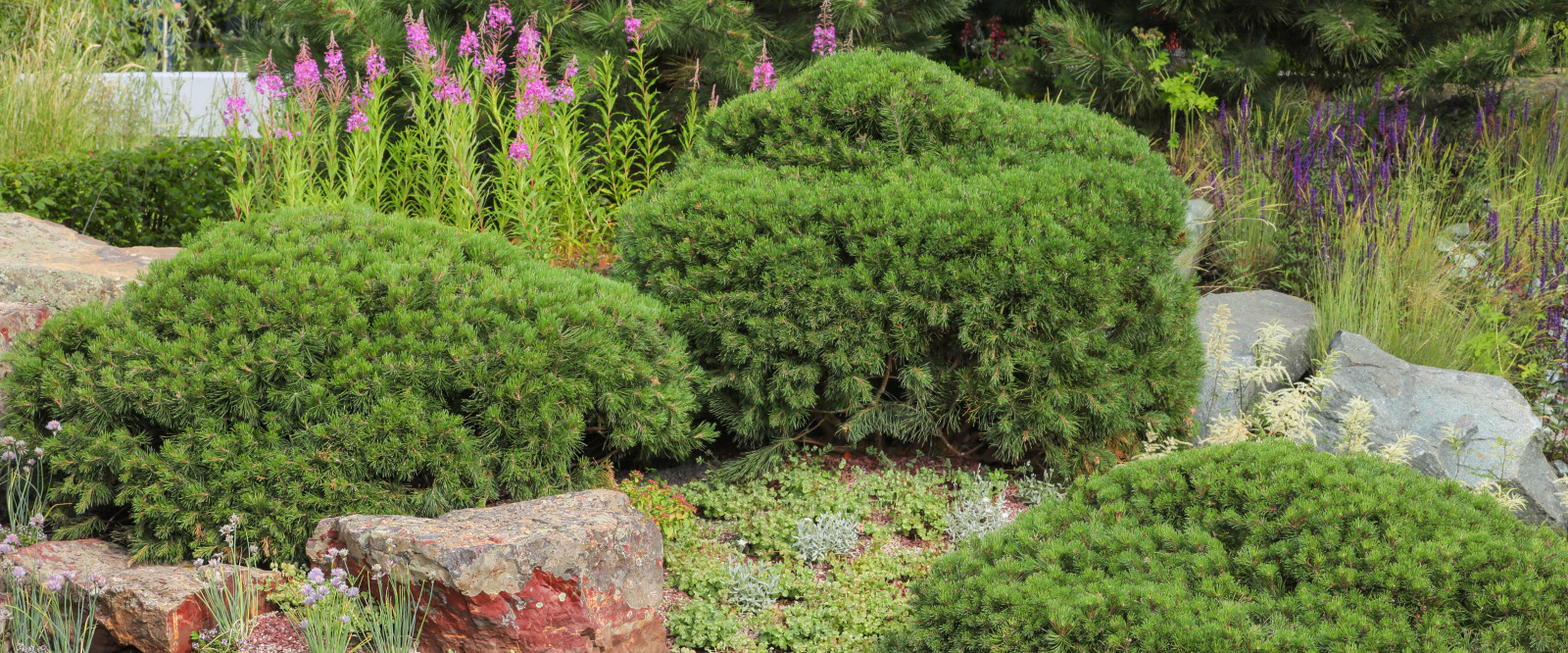 Малахитовая шкатулка, выставочный сад