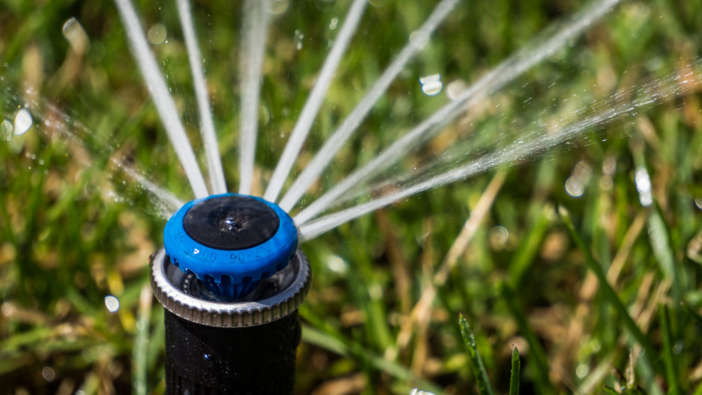 Примеры работ