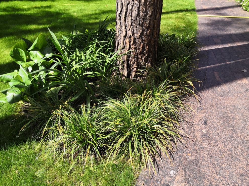 12 сот в лесу