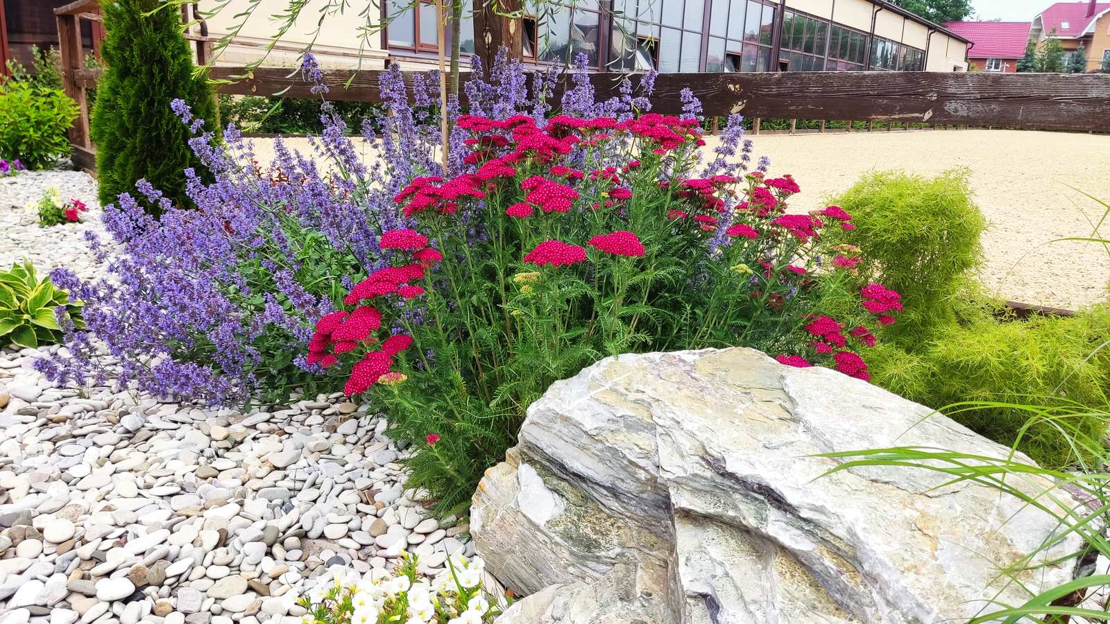 Композиции в саду