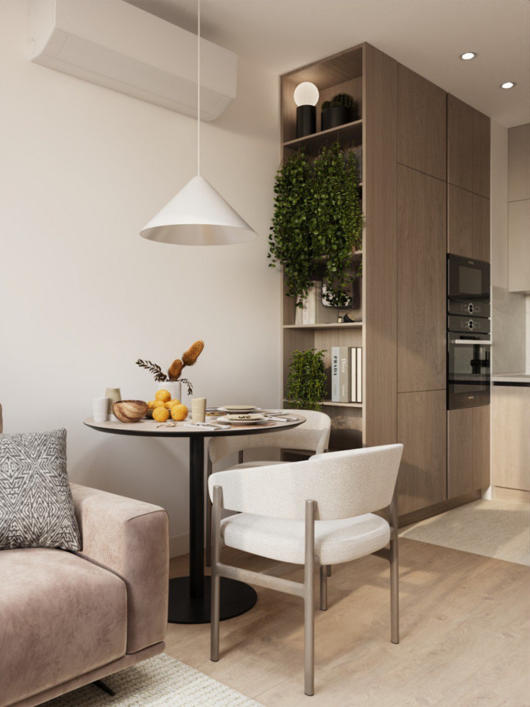 Проект однокомнатной квартиры