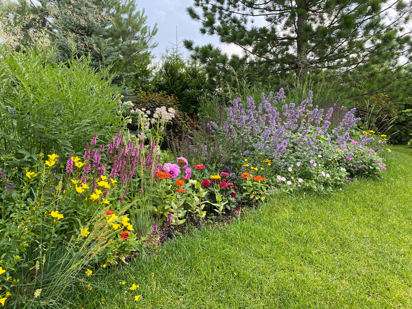 КП Пестово "Evergreen'