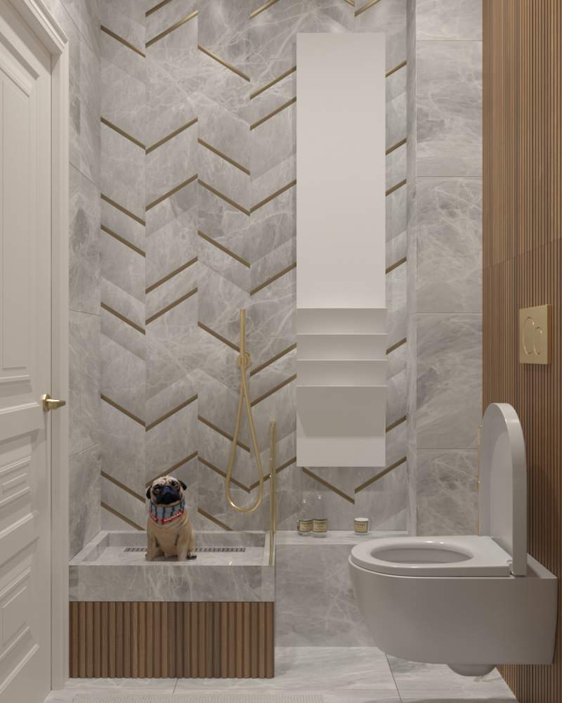 Гостевой санузел с лапомойкой