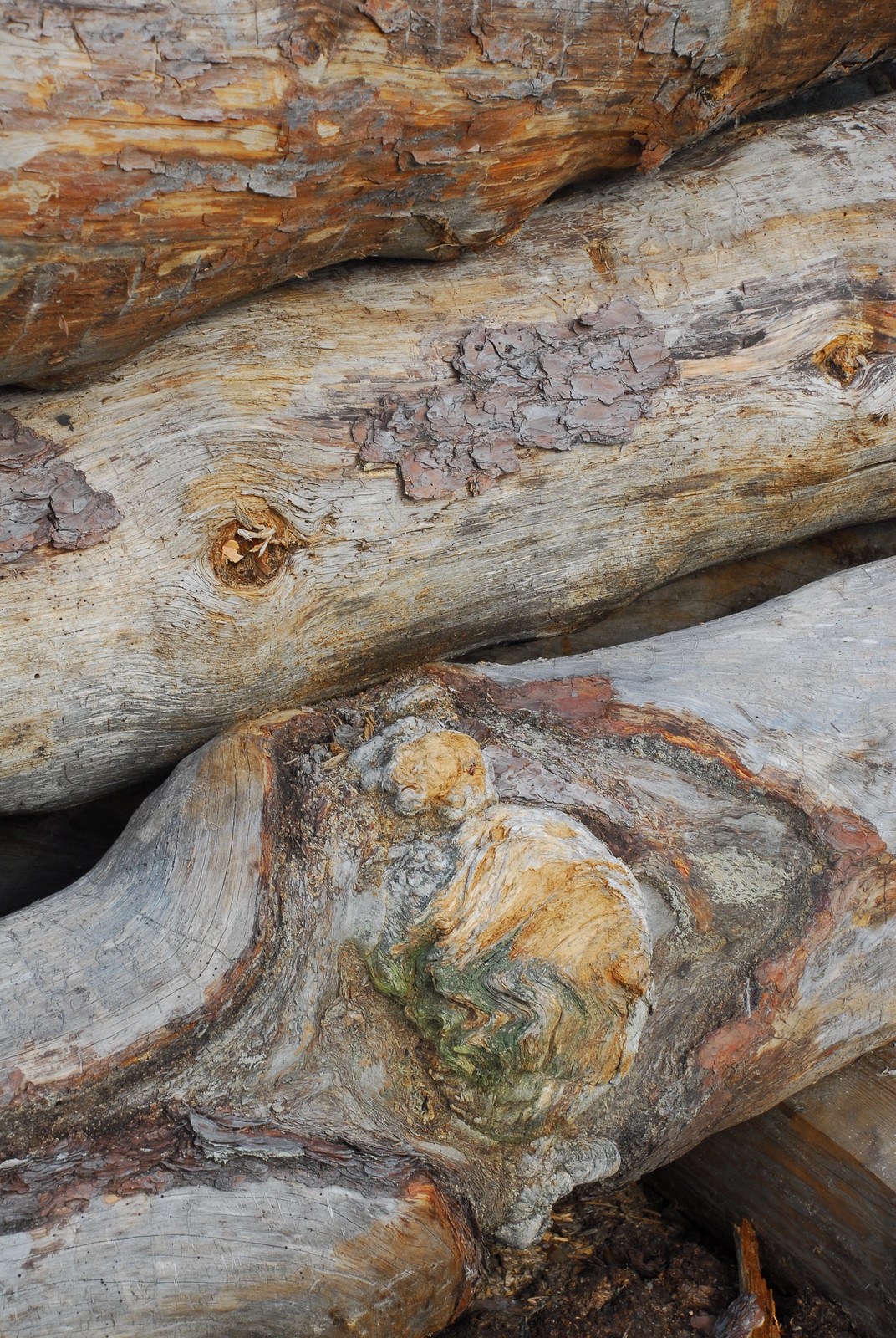 Производство и заготовка