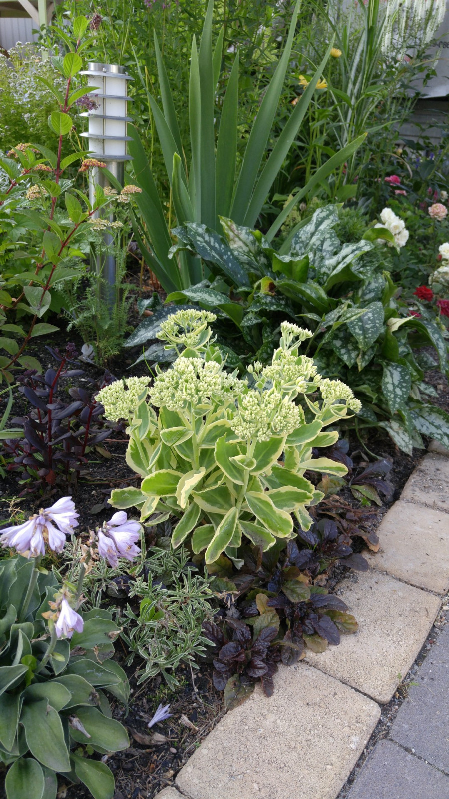 Коллекционный сад