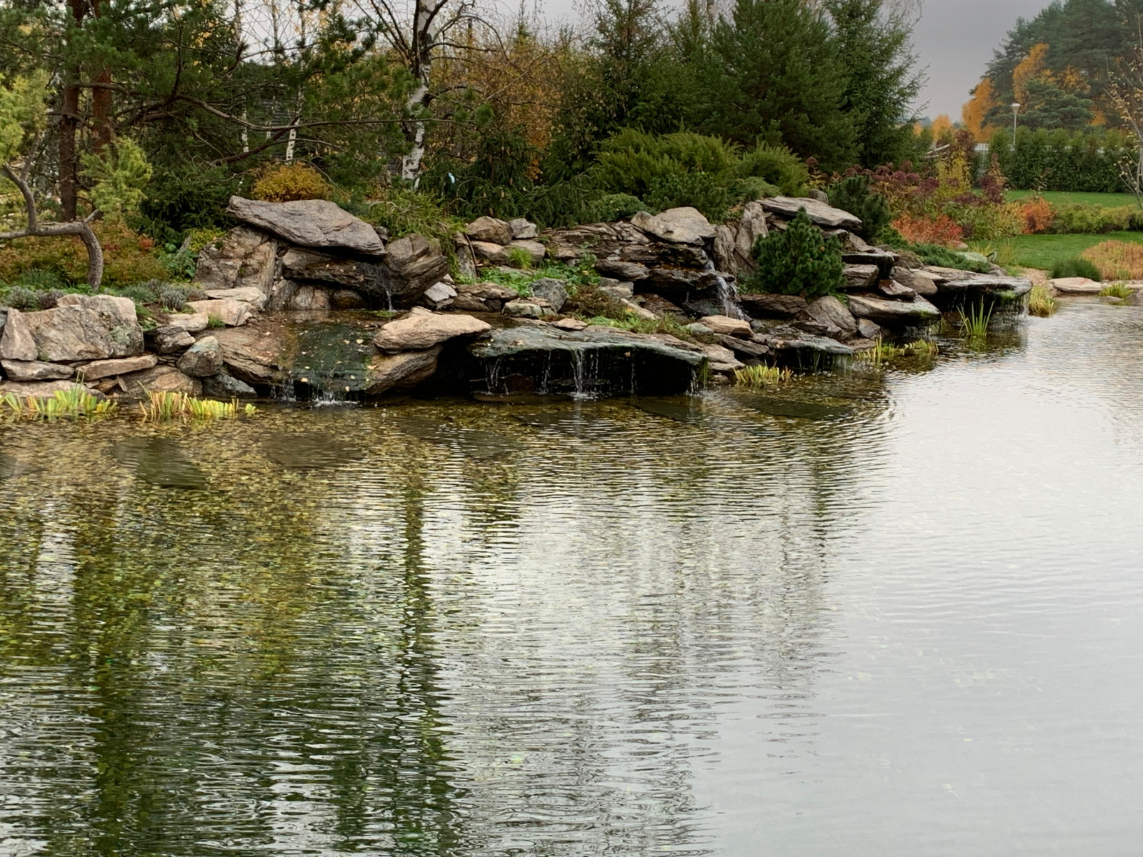Ландшафт в поселке "Бенилюкс"