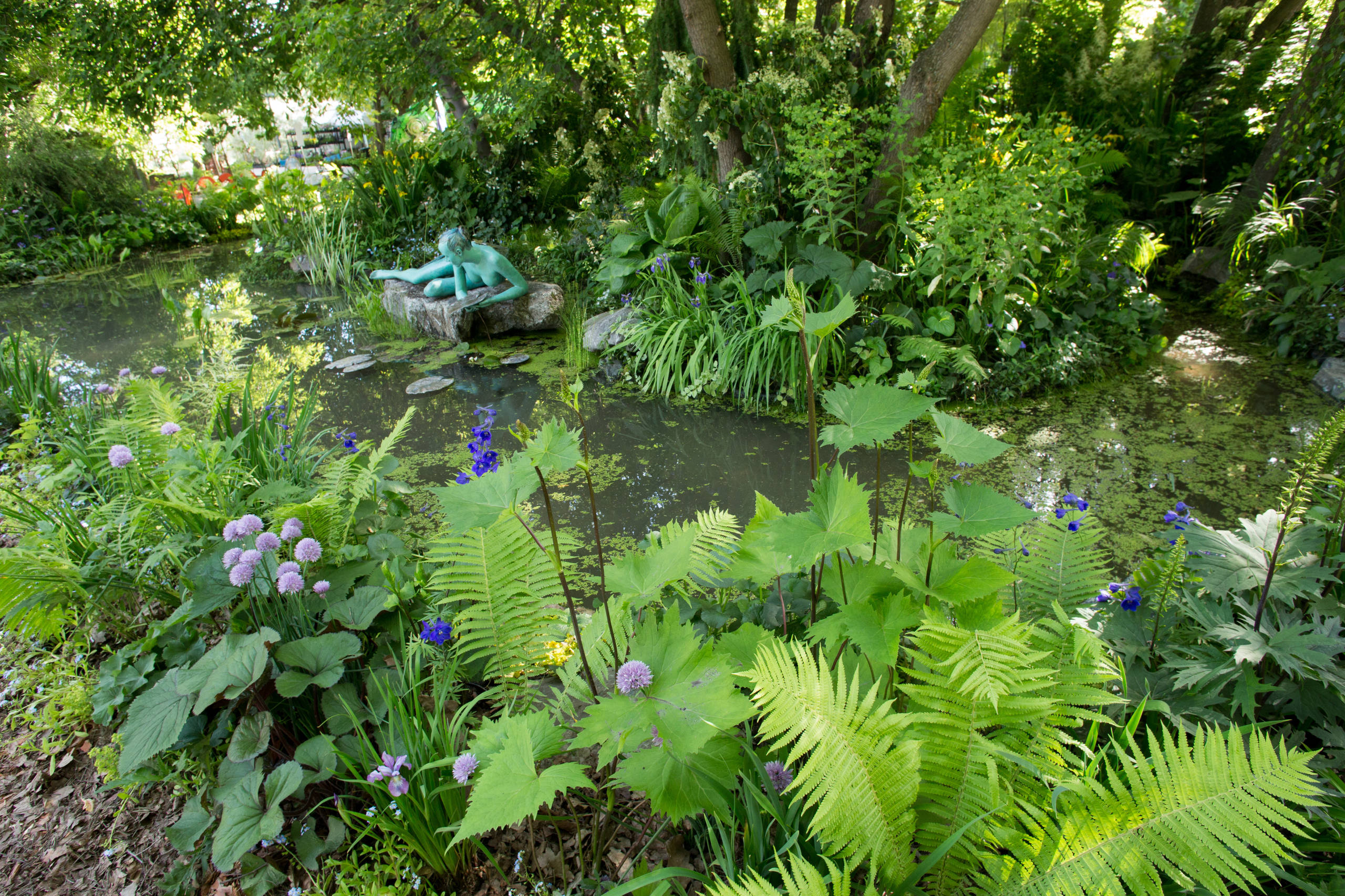 Проект недели: Сад в стиле модерн