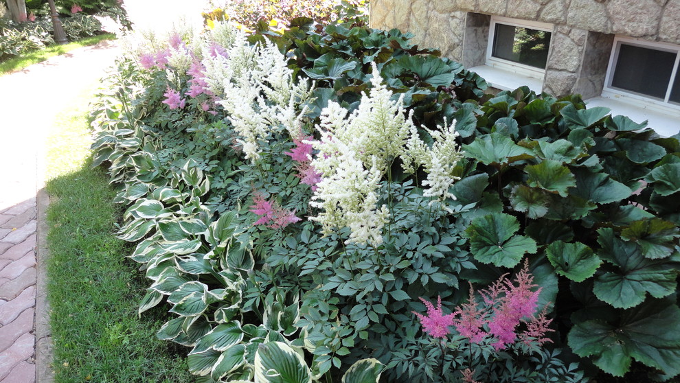 Обложка проекта: Теневые Сады